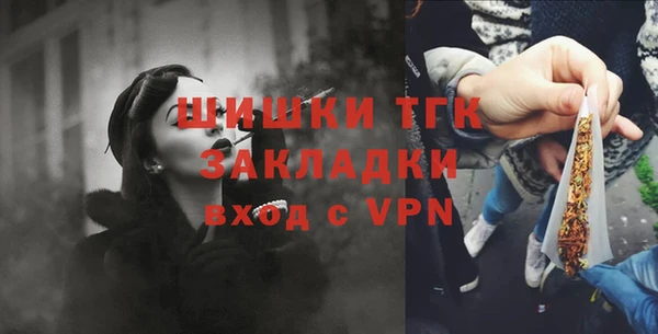 ECSTASY Белокуриха
