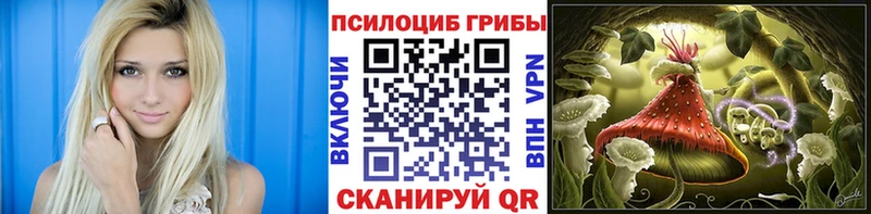 Галлюциногенные грибы MAGIC MUSHROOMS  Боготол 
